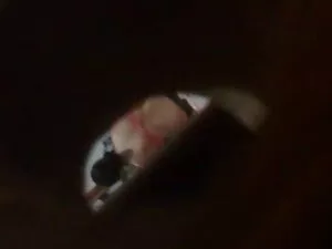 لذت فیلم سوپر پسر خو ...
